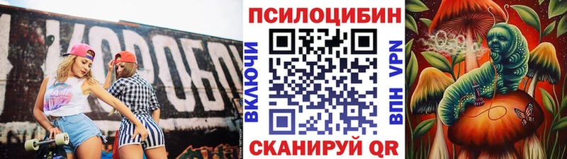 Галлюциногенные грибы прущие грибы  Краснодар 