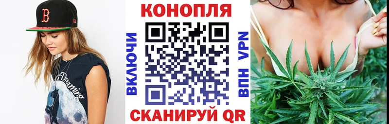 Шишки марихуана AK-47  где купить наркотик  Краснодар 